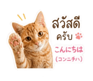 864339529