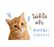 864339540