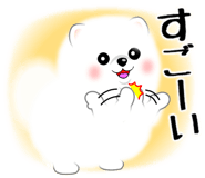 864345385