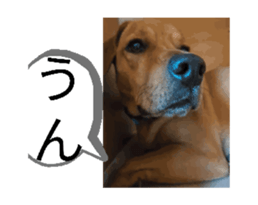864358779