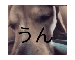 864358781