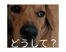 864358782