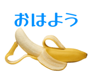 864366977