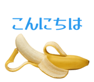 864366979