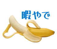864366981