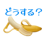 864366985