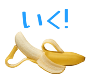 864366992