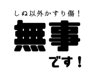 864367046
