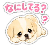 864387855