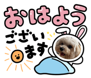 864417123