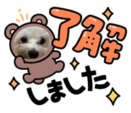 864417125