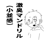 864417366