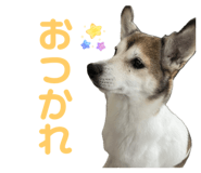864417690