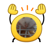 864421383
