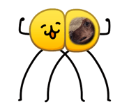 864422347