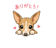 864422968
