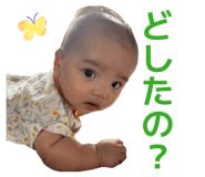 864423303