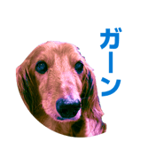 864423844