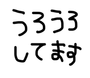 864423923