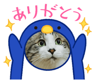 864427343