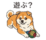 864428899