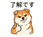 864428900