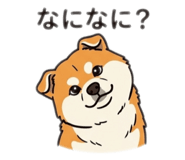 864428901