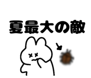 864431312