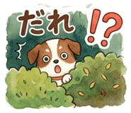 864432206
