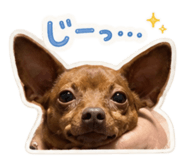 864432627