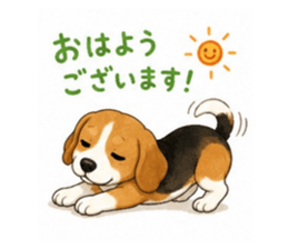 864433113