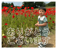 864433166