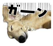 864433340