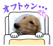 864433344