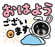 864433875