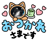 864433878