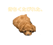 864434080