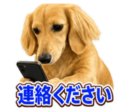 864547026