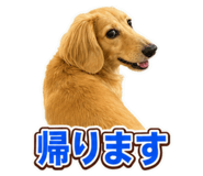 864547027