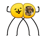 864547123