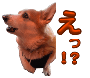 864547563