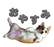 864547565