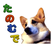 864547570