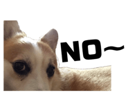 864547580