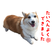 864547582