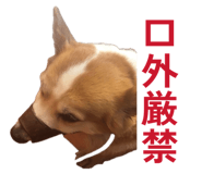 864547586