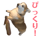 864547590