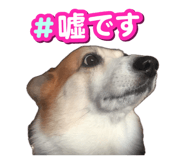 864547591