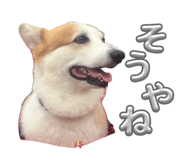 864547593