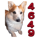 864547598
